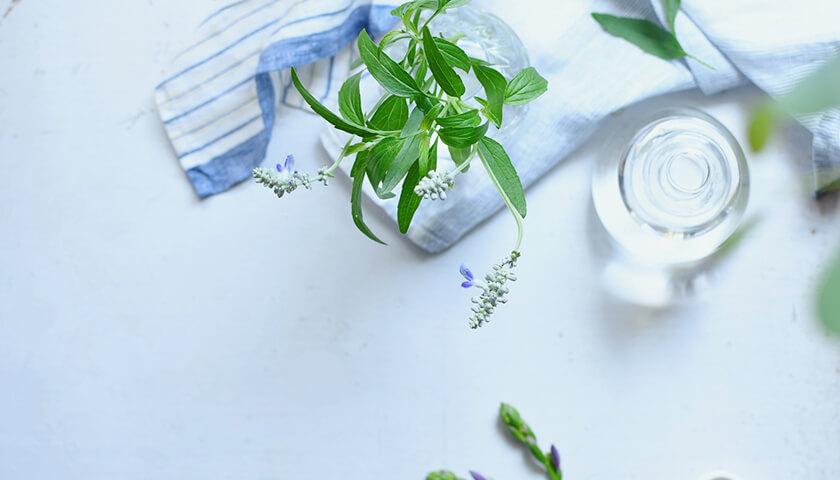 ǮɤȻפäǾȯǾɤȯɤꥹϤ롩